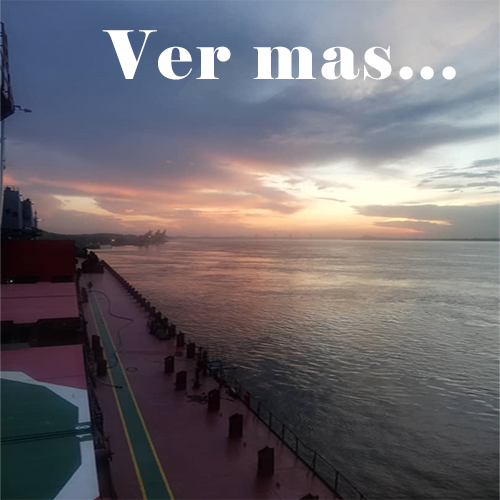 Vegetales